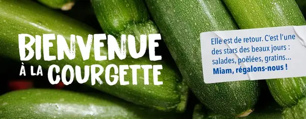 Bienvenue à la courgette ! Bienvenue à la courgette !